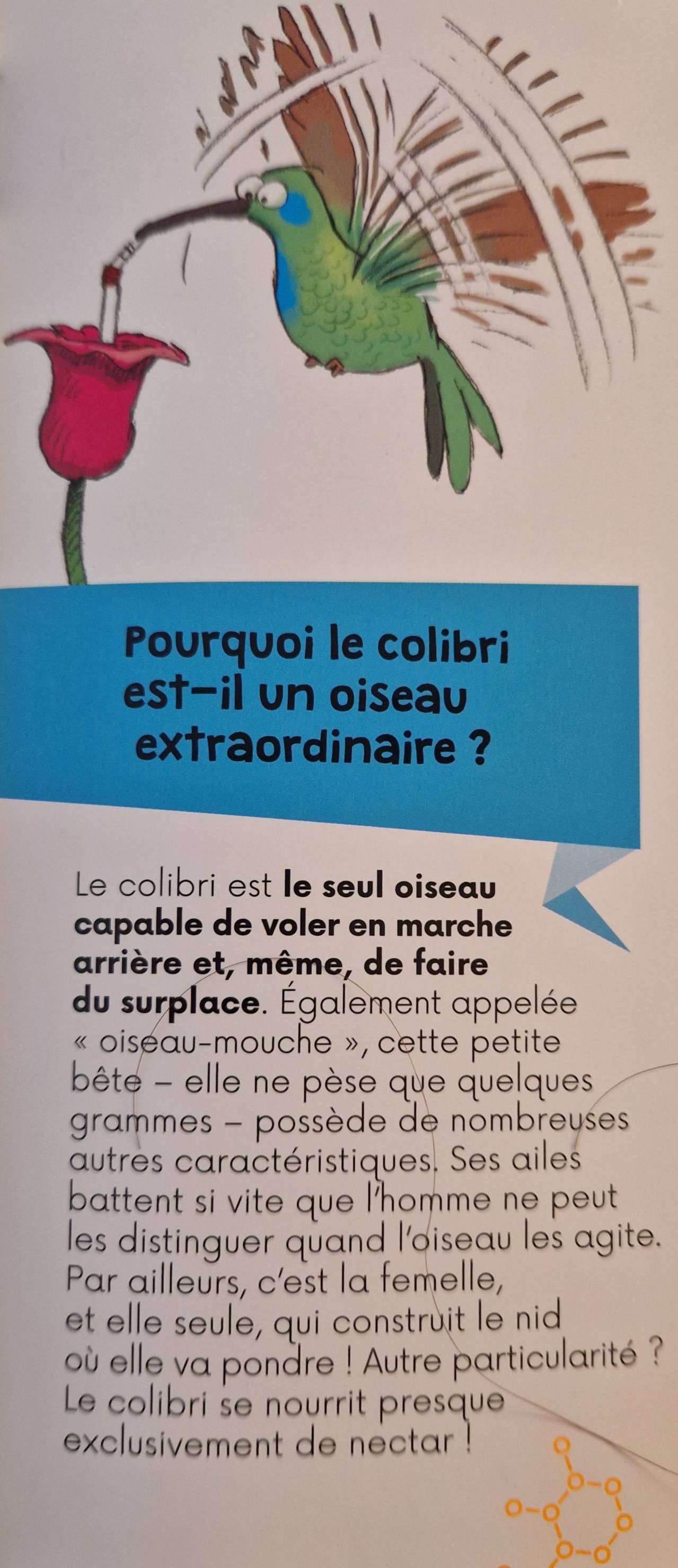 Italki Post Sur Ce Post Je Te Partage L Extrait D Un Livre