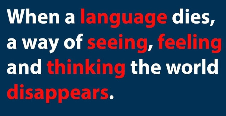 italki - Agree or disagree ? Why ?[Image]