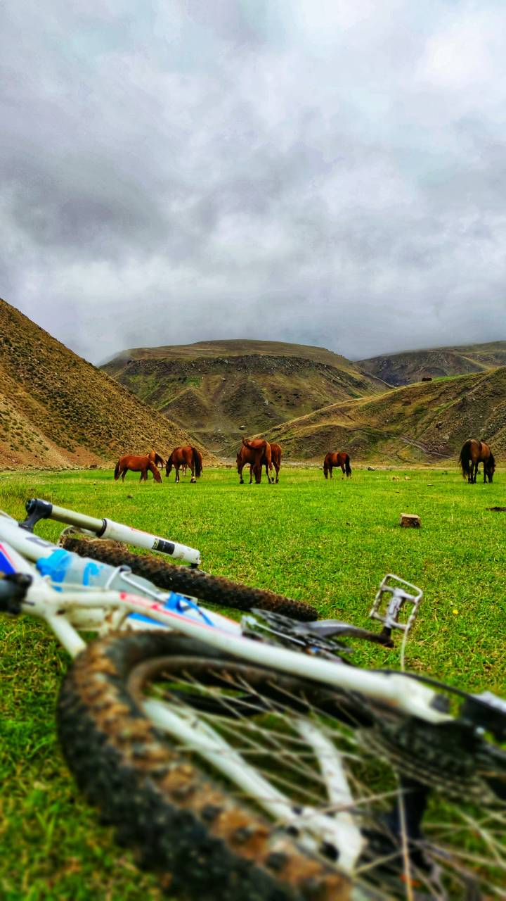 Italki - Biking In Mountain And Nature Is My Hobbies, I Love Experience ...