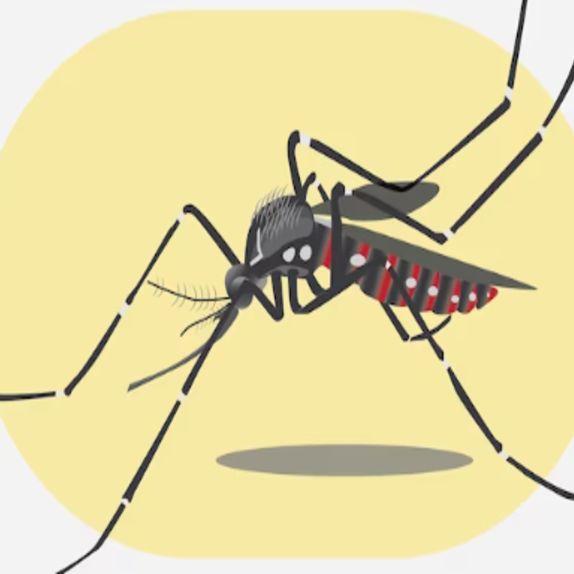 #WhatDoYouThink? - Dengue ou Covid? 