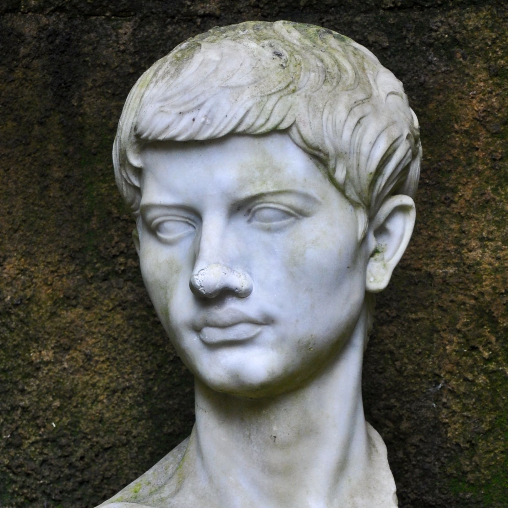 Prosodia carminum poetarum latinorum