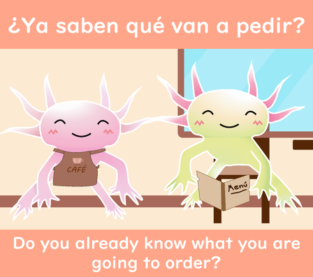 italki - ¿YA SABEN QUÉ VAN A PEDIR? ☕ YA is now or already. SABEN comes  from verb SABER (Ellos, ellas, ustede