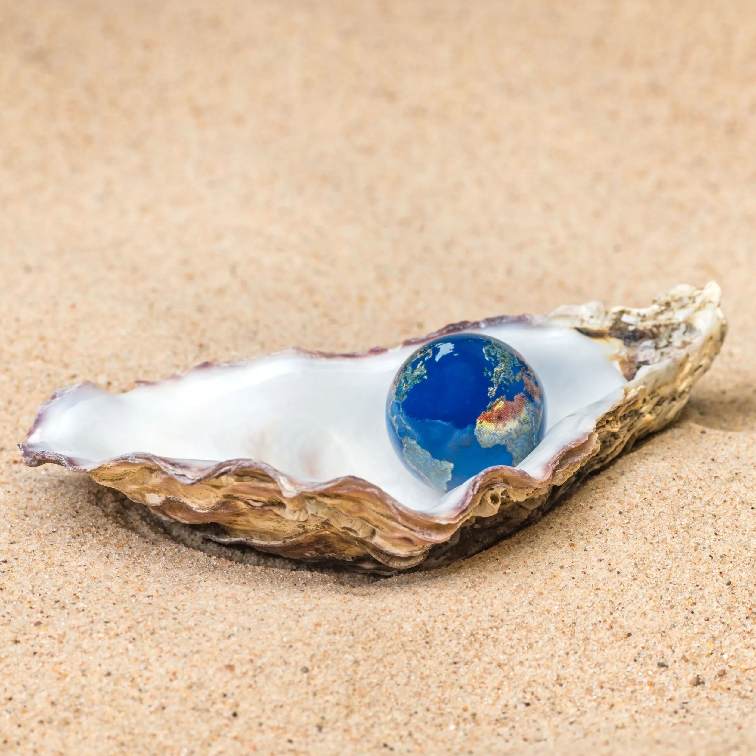 The World Is Your Oyster!