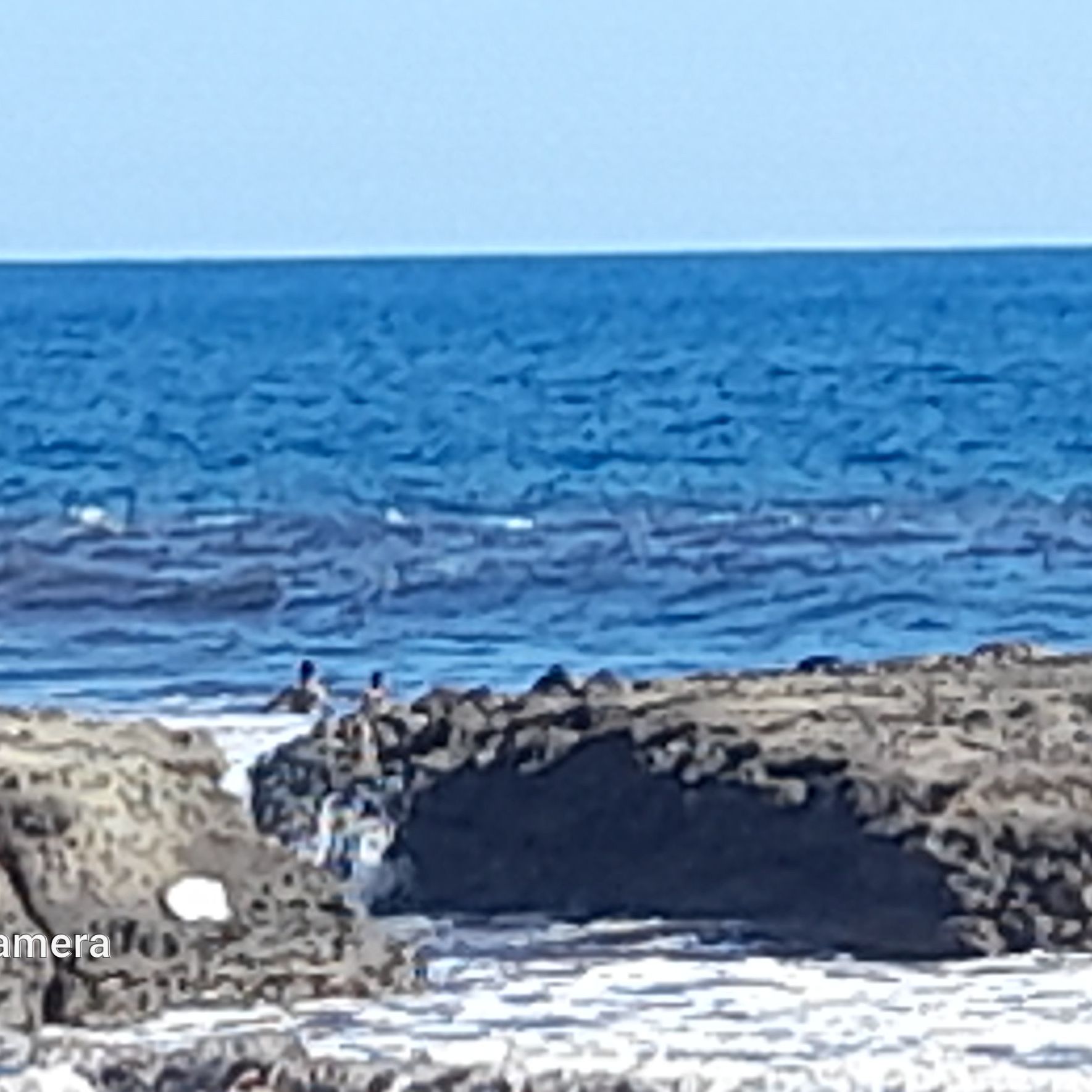 Juan Salvador Gaviota