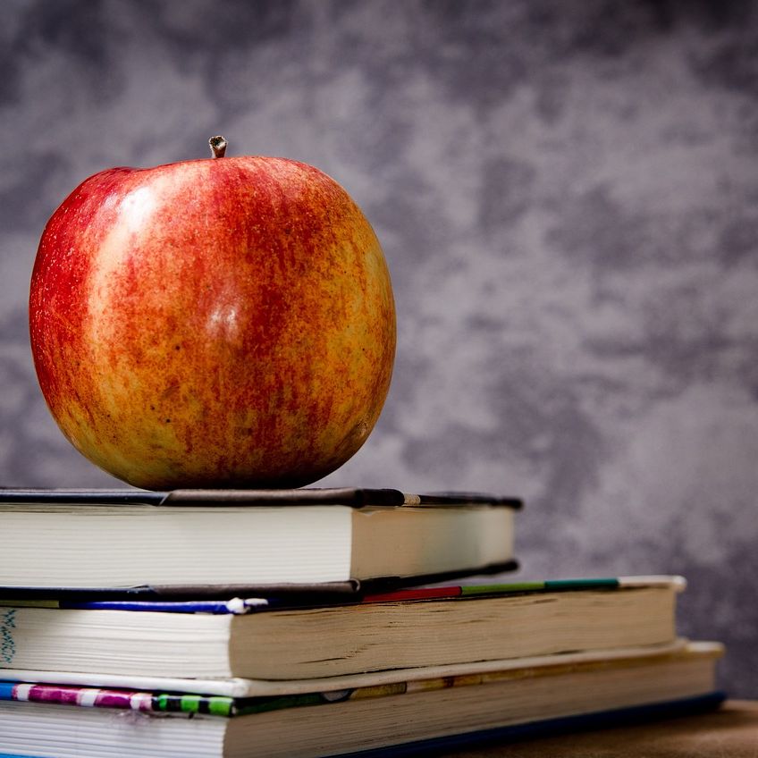 Le français sans confusion