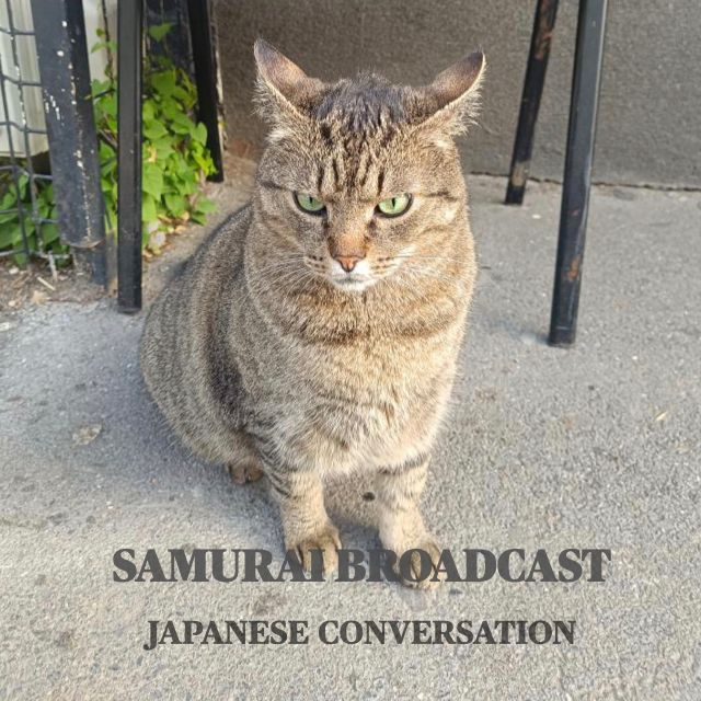 SAMURAI BROADCAST 侍放送