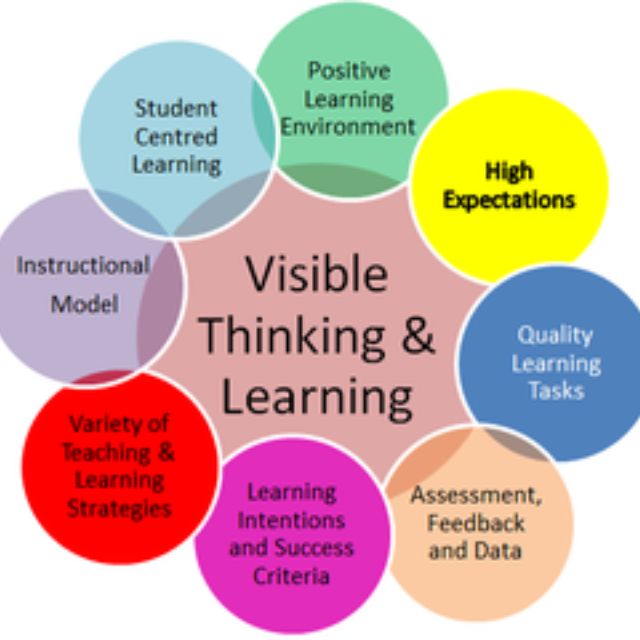 Visible Thinking & Learning
