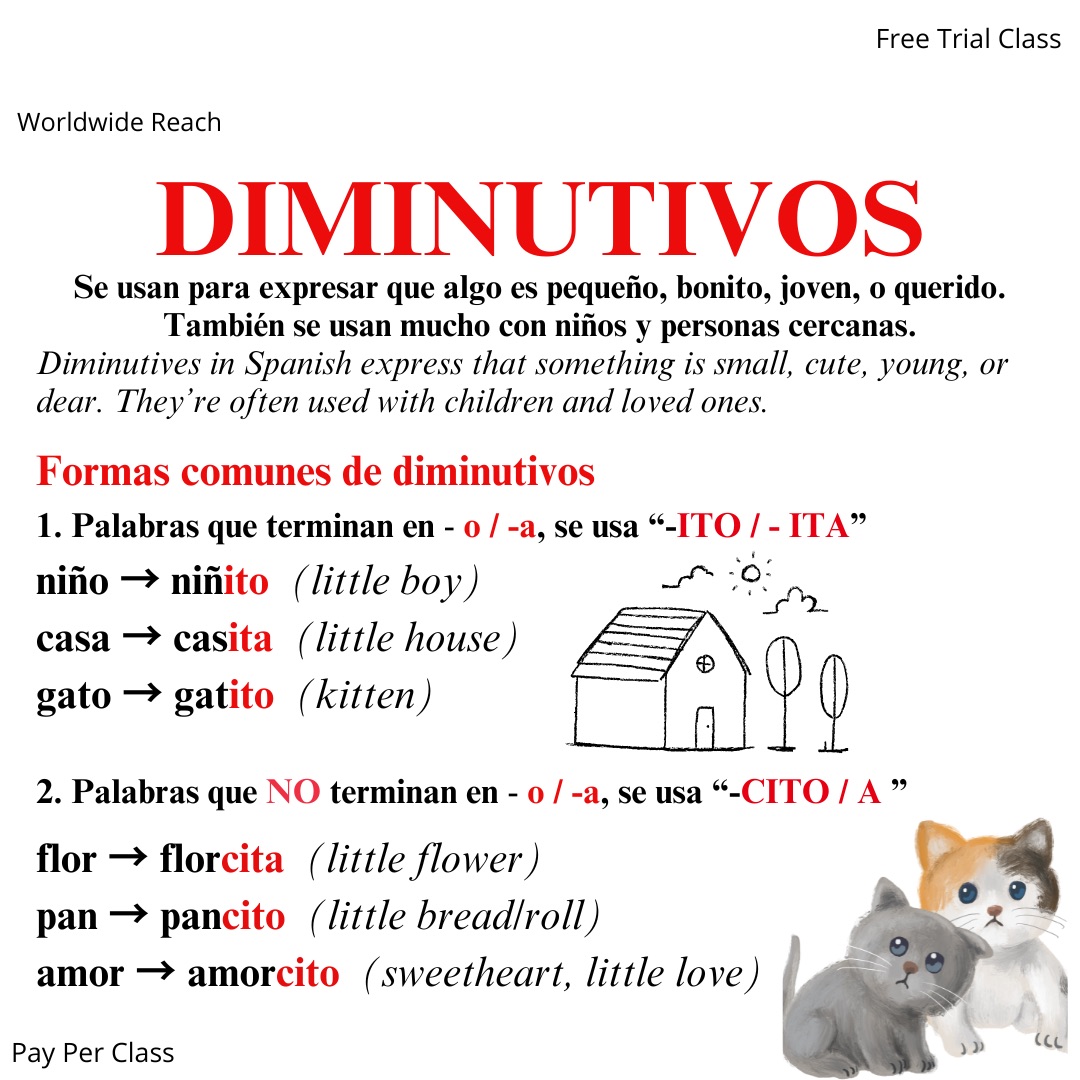 Los Diminutivos en Español