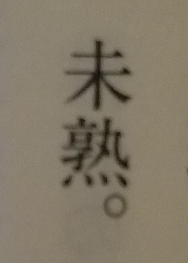 Italki この単語の意味や読み方が分かりません 誰か教えてくれない