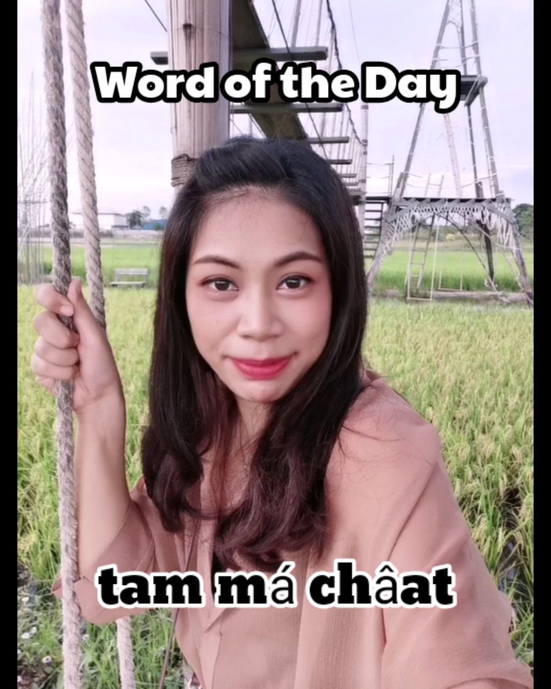 italki-do-you-know-the-meaning-of-the-word-tam-m-ch-at-in