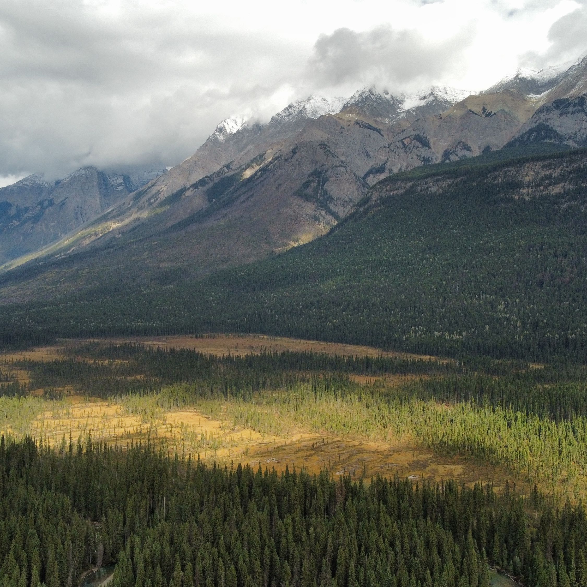 Live and Learn: 5 more binomial pairs 