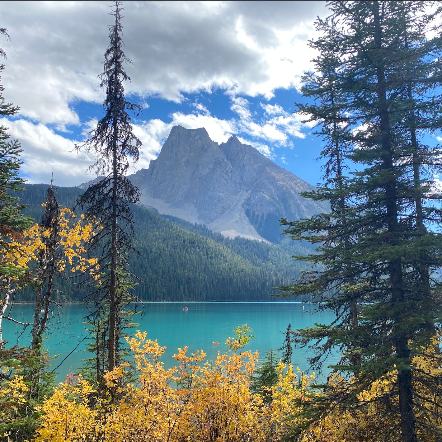 Phrasal Verbs Test: Wrapping up series 1! 