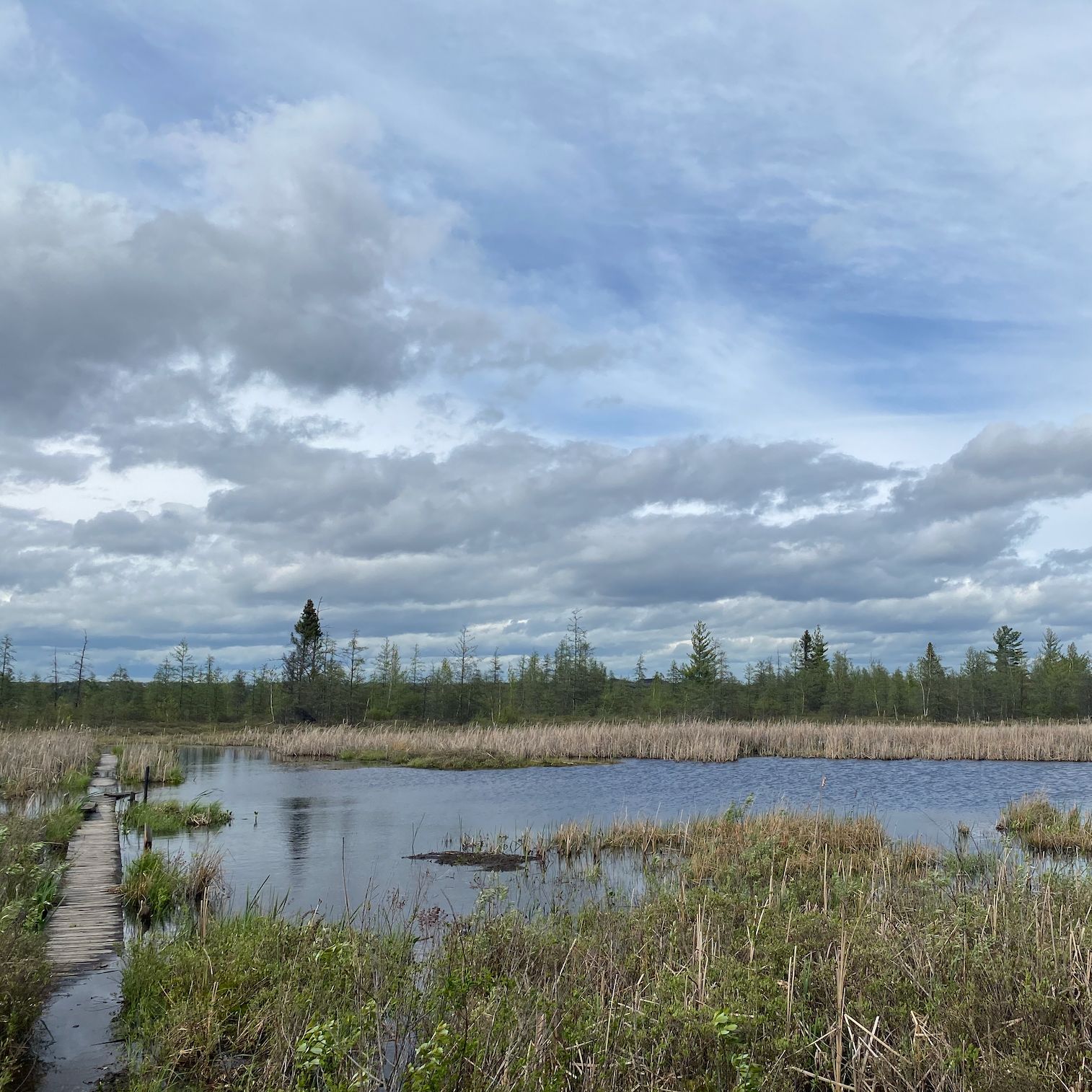 Listening—Understanding Native Speakers: An important episode about "of"