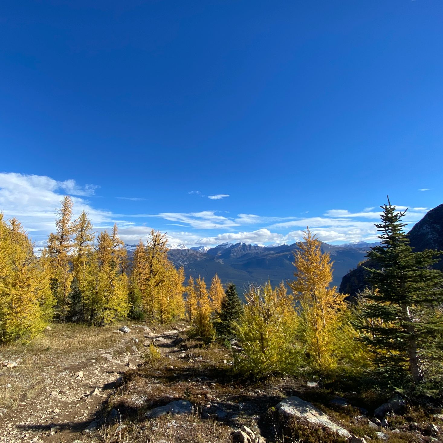 Listening—Understanding Native Speakers: What’s up with “P”? 