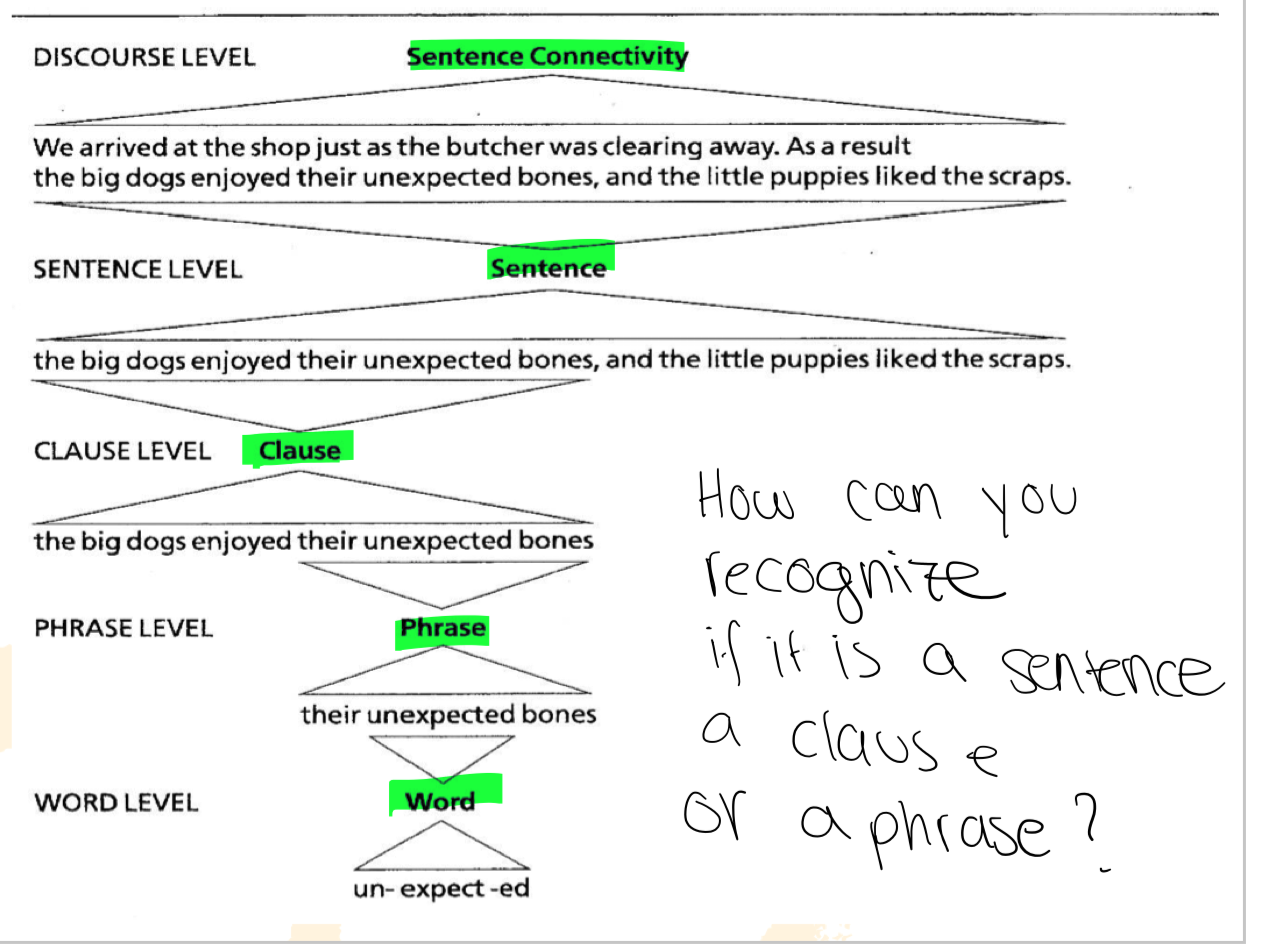 Italki - Sentence, Clause, Phrase -> Syntax Question On Powerpoint[Image]