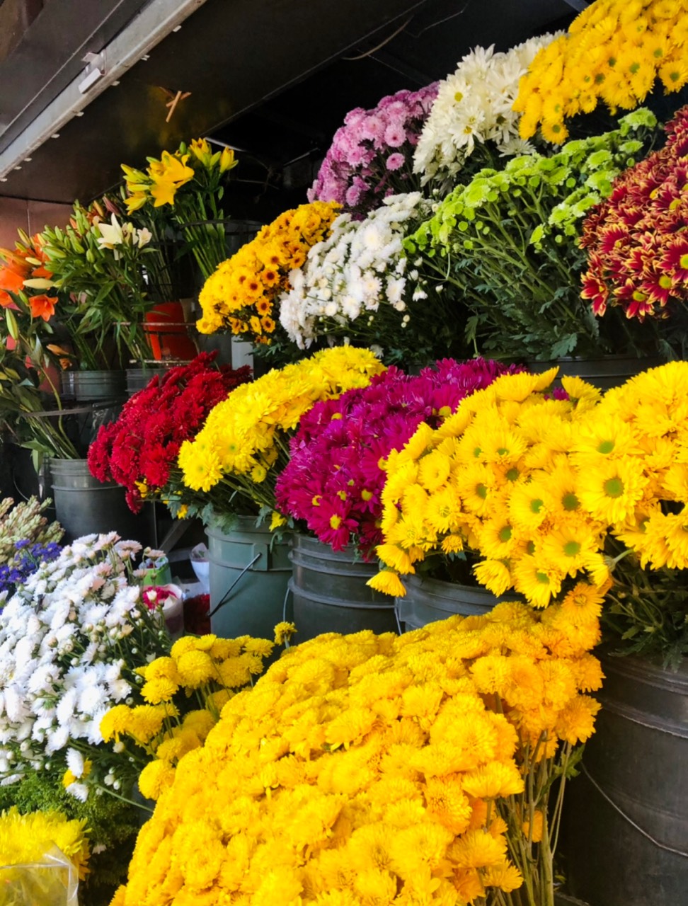 italki Writing Exercise Flowers! • Do you like flowers? • Is it