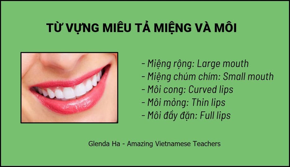 italki 📍Vietnamese vocabulary about mouth/lips Miệng rộng Large