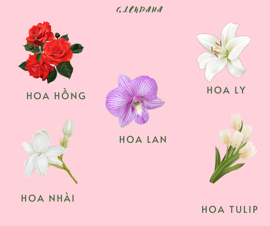 italki "🌺🌼🌸 Vietnamese Flower Names! 🌸🌼🌺 Discover the beauty of
