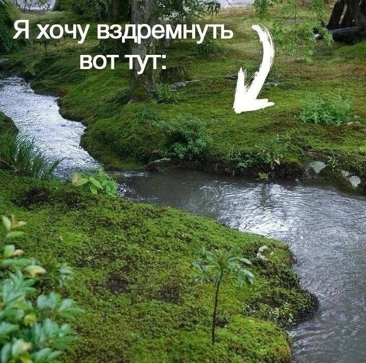 italki я хочу I want дремать вздремнуть to nap тут here[Image]