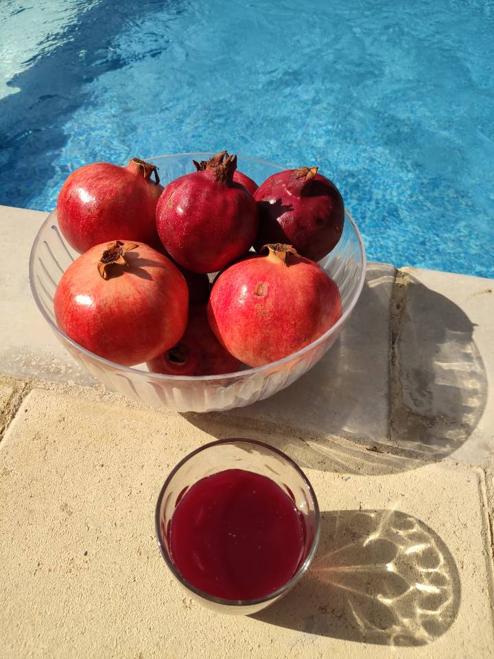 italki Today I made a fresh juice from pomegranates growing in my