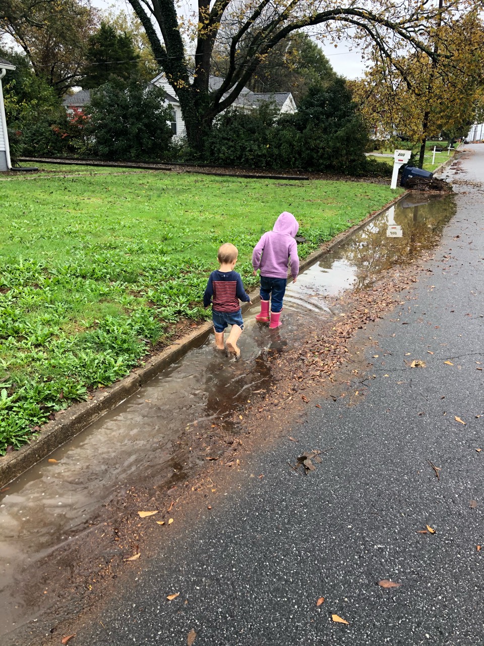 italki It’s been so rainy in my state South Carolina. Have you heard