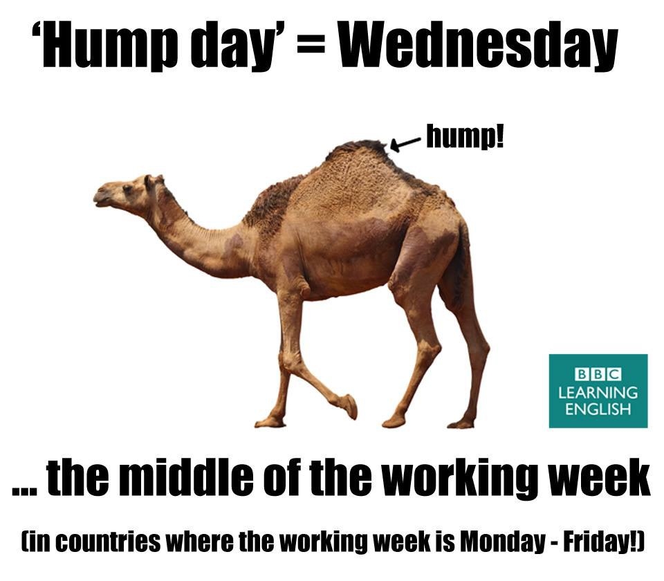 What Does Happy Hump Day Mean