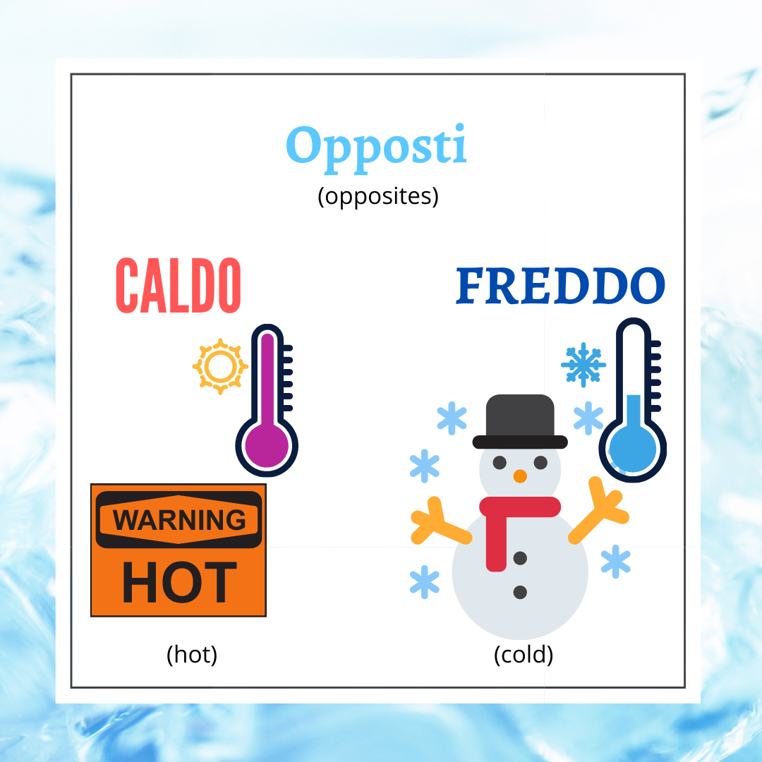 italki New opposite in Italian! 🇮🇹[Image]