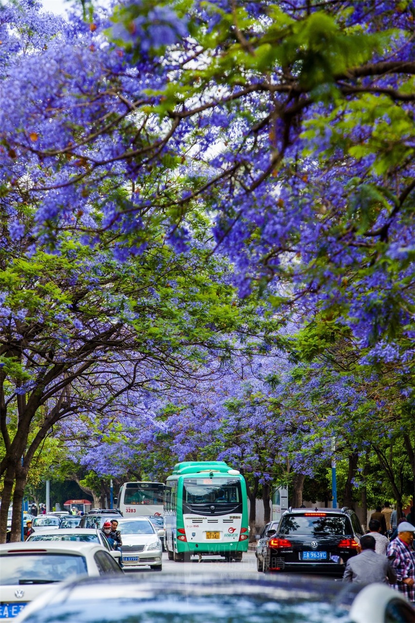 italki-kunming-spring-city-the-weather-of