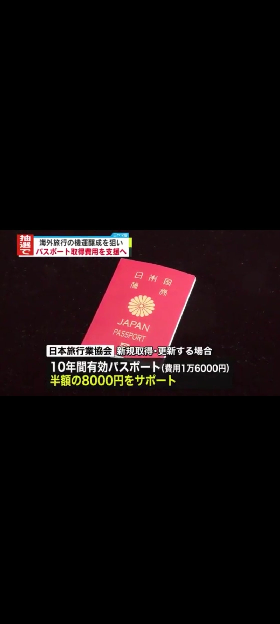 italki-do-you-know-the-percentage-of-passport-holders-in-japan-1-57